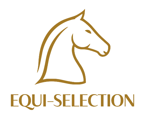 Equi-Selection